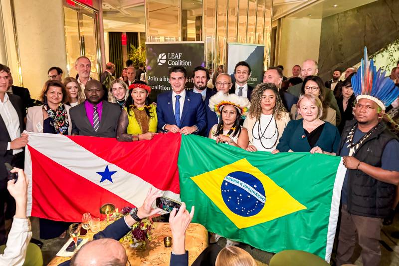 Pará assina acordo inédito e vende quase R$ 1 bilhão de créditos de carbono